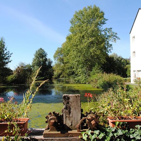 Logis Hotel Le Relais Du Moulin Valençay Екстериор снимка