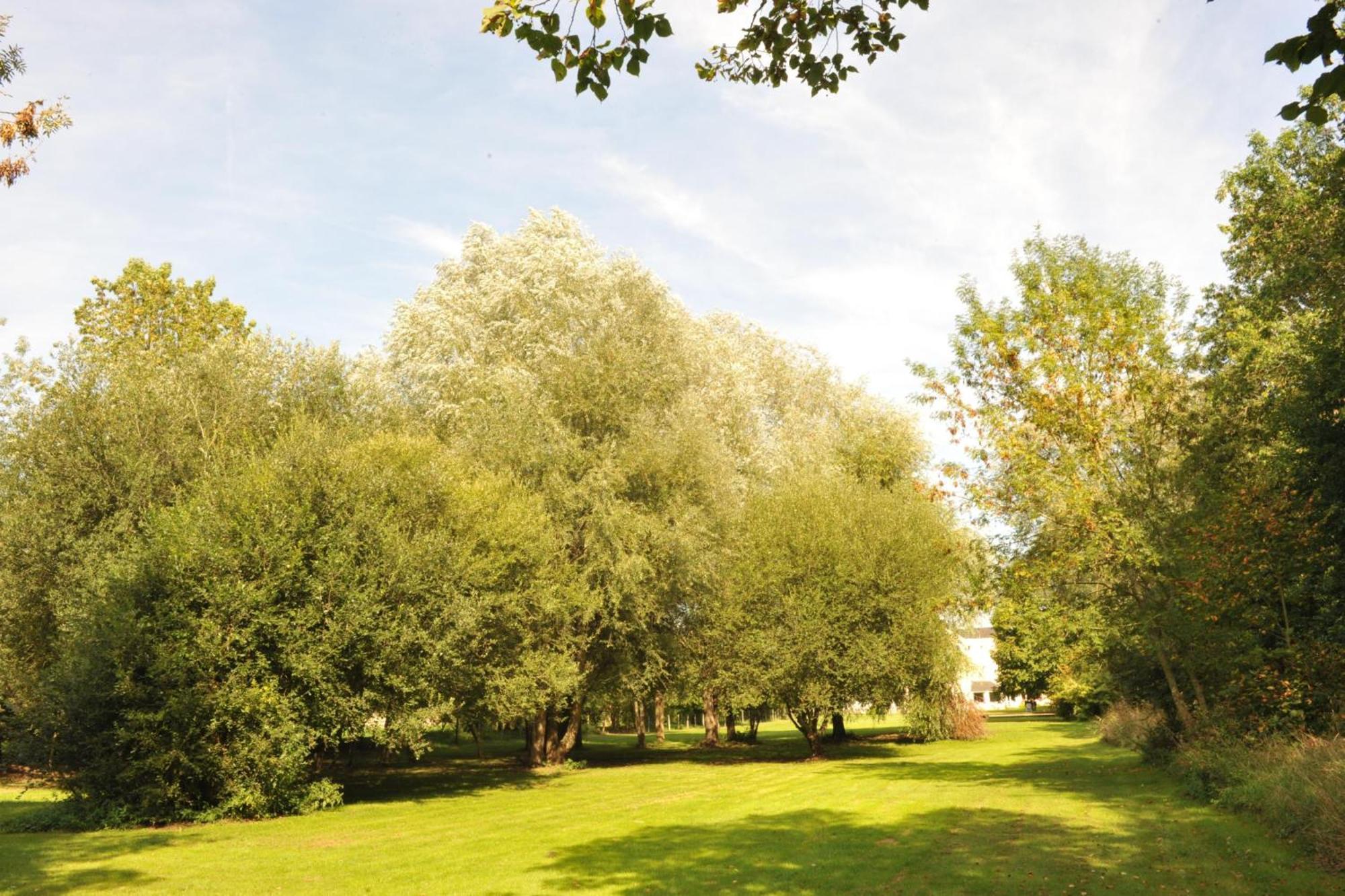 Logis Hotel Le Relais Du Moulin Valençay Екстериор снимка